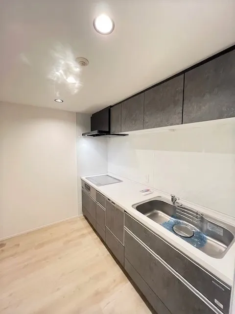 Residia Ikebukuro - Interior - ["Flooring", "Floor", "Major appliance"]