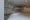 Asyl Court Shoto - Other - ["Flooring", "Ceiling", "Floor"] thumbnail