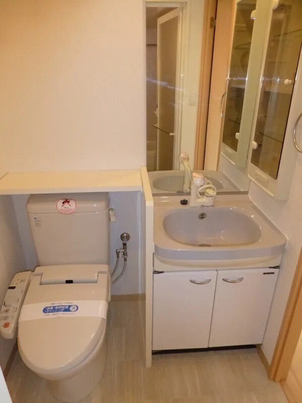 RESIDIA Shima Tsuyama - Interior - ["Bathroom Sink", "Plumbing fixture", "Bathroom"]