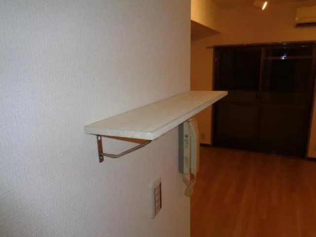 Sky Court Shinjuku Ochiai No. 5 - Interior - ["Wood", "Shelving", "Shelf"]