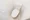 Comforia Takenotsuka East - Interior - ["Toilet seat", "Toilet", "Plumbing fixture"] thumbnail