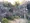 Famille Zushi thumbnail