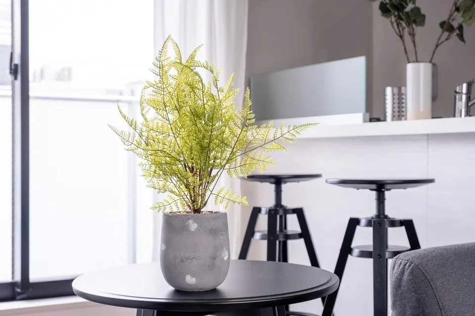 Hmlet Shibuya Shoto - Interior - ["Furniture", "Flowerpot", "Interior design"]