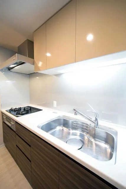 Gardenier Kinuta WEST - Interior - ["Cabinetry", "Kitchen sink", "Sink"]
