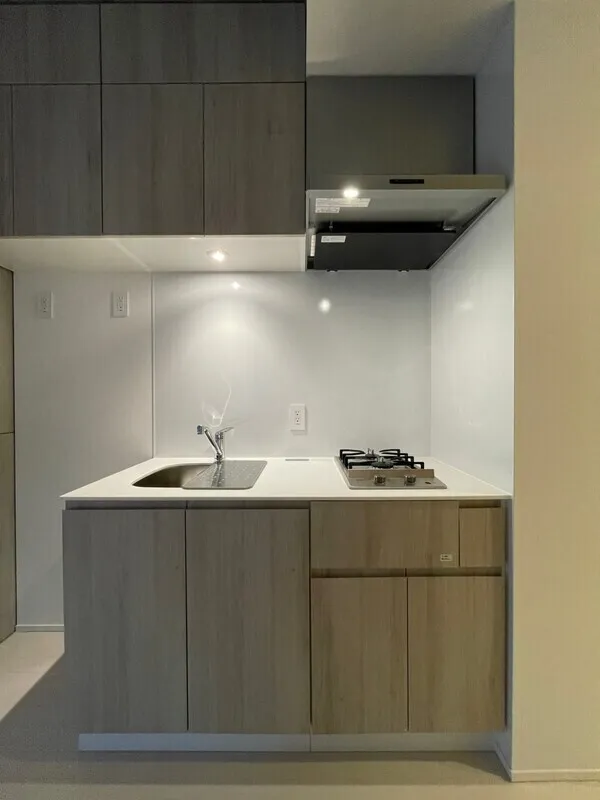 Milia Residence Shinjuku Gyoen II - Interior - ["Flooring", "Floor", "Interior design"]