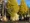 Excellent Square Miyazakidai II Building Room 304 thumbnail