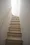 El Faro Hiroo - Interior - ["Stairs", "Fixture", "Wood"] thumbnail