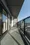 Terra Silk Forest - Interior - ["Apartment", "Composite material", "Ceiling"] thumbnail