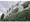 Hiroo Cedar Court - Exterior - ["Wall", "Shrub", "Urban design"] thumbnail