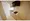 Glorio Shelt Senkawa - Interior - ["Floor", "Apartment", "Flooring"] thumbnail