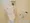 IS Heights - Interior - ["Toilet", "Toilet seat", "Plumbing fixture"] thumbnail