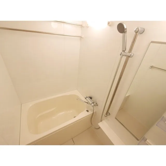 Comforia Akihabara East - Interior - ["Plumbing fixture", "Shower head", "Bathtub"]