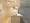 Geo Tower Minamimorimachi - Interior - ["Flooring", "Floor", "Ceiling"] thumbnail