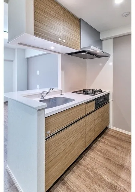 Gran Casa Hikifune II - Interior - ["Flooring", "Kitchen", "Countertop"]