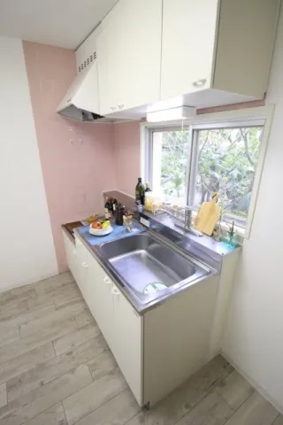 Pastel U - Interior - ["Kitchen Sink", "Plumbing fixture", "Sink"]