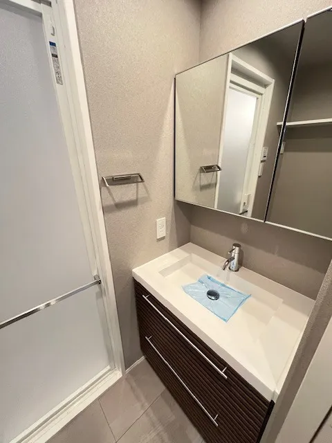 RESIDIA Bunkyo Sengoku - Interior - ["Bathroom Sink", "Bathroom cabinet", "Flooring"]