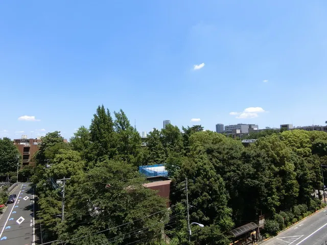 Hongo A-One Todaimae - Interior - ["Daytime", "Tree", "Condominium"]
