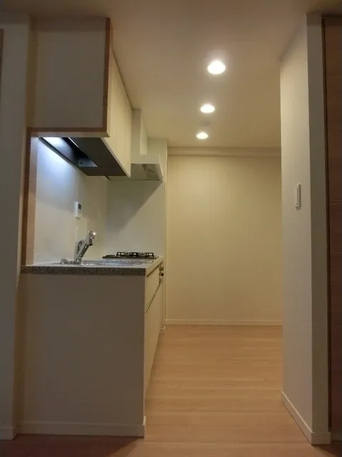 Claire Homes Shinjuku Hyakunincho - Interior - ["Property", "Room", "Lighting"]