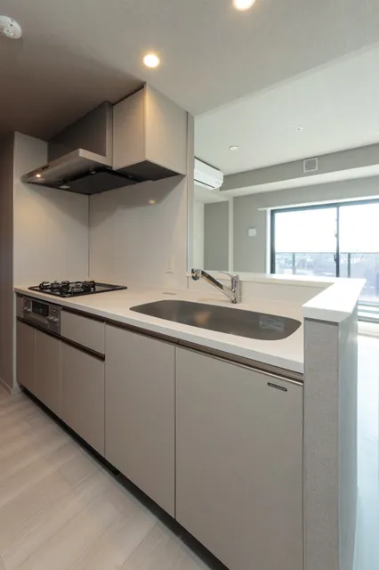 Terra Silk Forest - Interior - ["Kitchen", "Interior design", "Flooring"]