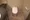 Sangubashi Mansion - Interior - ["Toilet seat", "Toilet", "Bathroom"] thumbnail