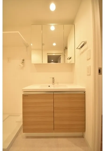 Grand Paseo Yoyogi Uehara II - Interior - ["Flooring", "Floor", "Plumbing fixture"]