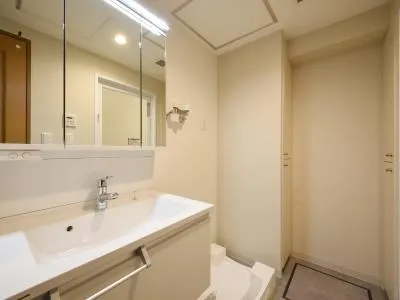 River City 21 East Towers II - Interior - ["Mirror", "Bathroom cabinet", "Sink"]