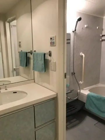 Prime Urban Nihonbashi Hamacho - Interior - ["Plumbing fixture", "Sink", "Mirror"]
