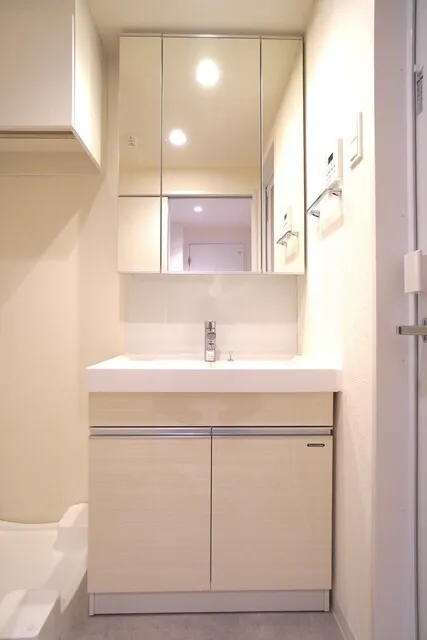 La Casa Hiroo - Interior - ["Bathroom Sink", "Plumbing fixture", "Flooring"]