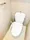 Park Axis Ikegami - Interior - ["Toilet seat", "Toilet", "Plumbing fixture"] thumbnail