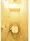 Plaille Hamamatsucho - Interior - ["Toilet seat", "Toilet", "Flooring"] thumbnail