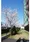 Prospect Shinonome Bridge - Other - ["Branch", "Spring", "Apartment"] thumbnail