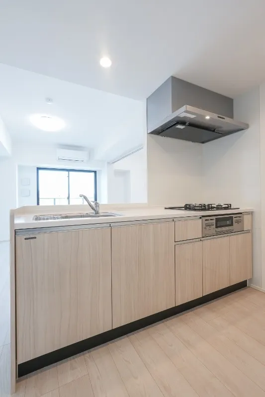 Due Nippori III - Interior - ["Kitchen", "Countertop", "Interior design"]