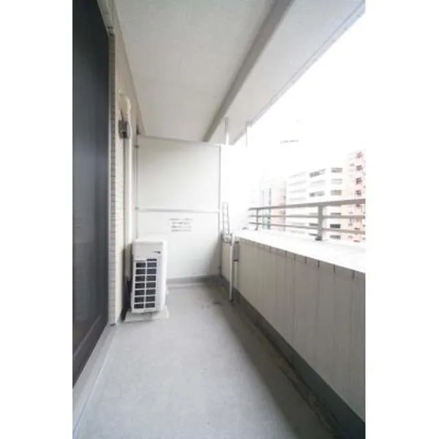 Clearwater Shiba - Interior - ["Property", "Window", "Building"]