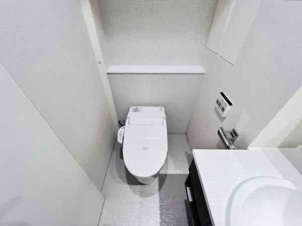 Brillia Ist Asakusabashi - Interior - ["Toilet", "Bathroom", "Paper towel"]