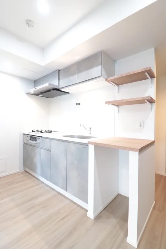 GranDuo Nishi-Ogikubo 2 - Interior - ["Kitchen", "Flooring", "Countertop"]