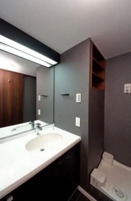 Park Avenue Jinnan - Interior - Bathroom sink / Washing machine space