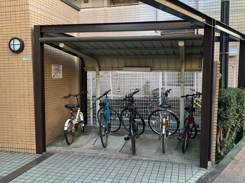 Alpha Matsubara - Other - ["Wheel", "Tire", "Bicycle"]
