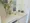 Castalia Nakameguro - Interior - ["Plant", "Houseplant", "Building"] thumbnail