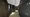 RESIDIA Bunkyo Koishikawa II - Exterior - ["Architecture", "Building", "Room"] thumbnail