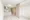 Comforia Kitazawa - Interior - ["Furniture", "Building", "Wood"] thumbnail