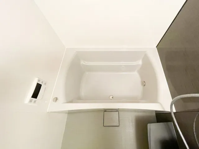 Preasvelta Minowa - Interior - ["Bathroom", "Bathtub", "Plumbing fixture"]
