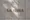 LA TERRA - Exterior - ["Wall", "Beige", "Font"] thumbnail