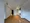 Castalia Meguro Kamurosaka - Interior - ["Flooring", "Floor", "Ceiling"] thumbnail