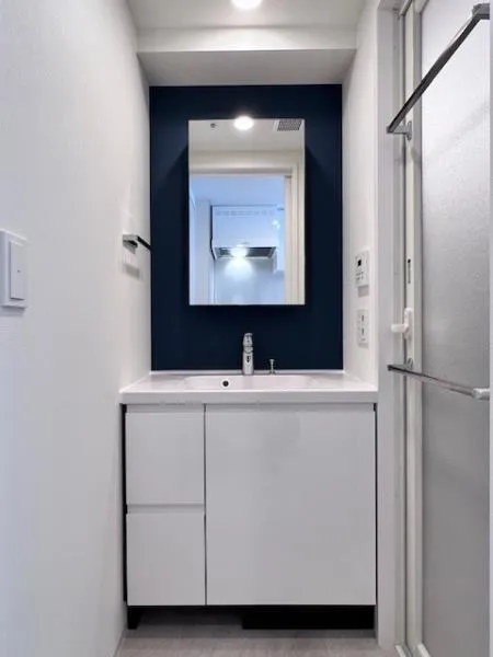 Brillia Ist Oimachi - Interior - ["Bathroom cabinet", "Plumbing fixture", "Flooring"]