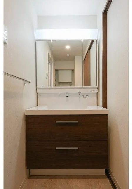 HF Oshiage Residence - Interior - ["Bathroom Sink", "Bathroom cabinet", "Wood"]