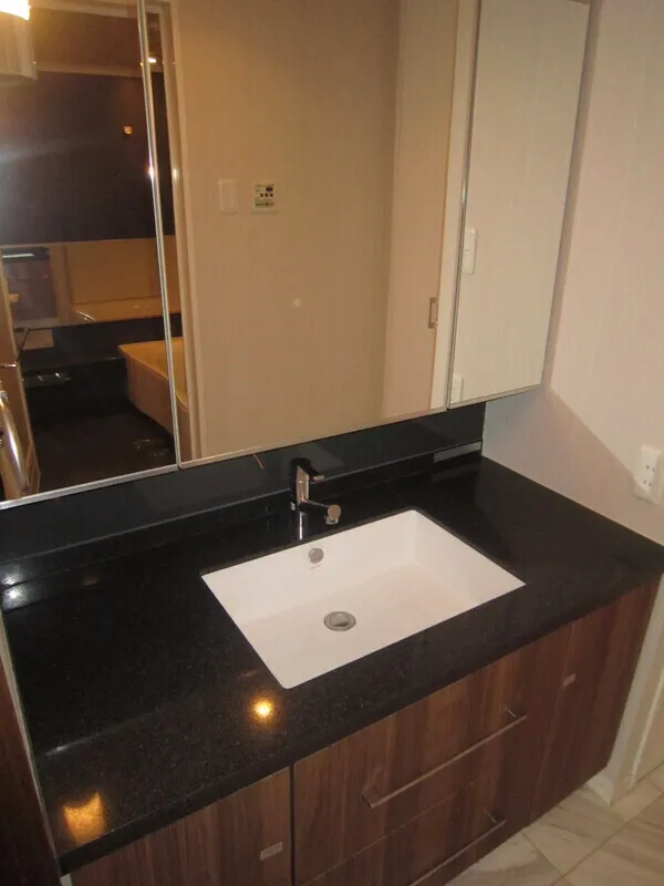 First Real Tower Shinjuku - Interior - ["Bathroom Sink", "Plumbing fixture", "Sink"]