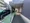 Hi-Lark Ofuna Room 202 thumbnail