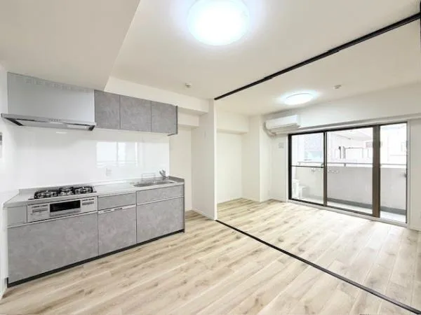 Lier Wakamatsucho - Interior - ["Apartment", "Composite material", "Condominium"]