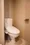 Comforia Kinshicho DEUX - Interior - ["Toilet", "Toilet seat", "Bathroom"] thumbnail