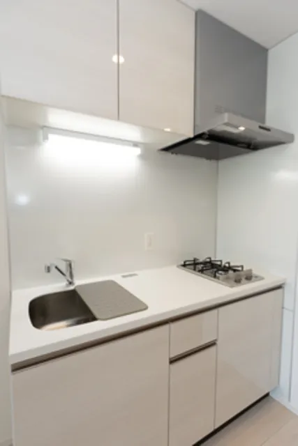 LEGASIS Nakameguro - Interior - ["Cabinetry", "Kitchen sink", "Property"]
